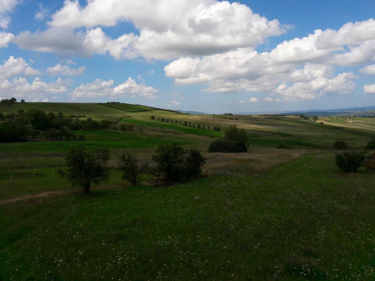 Casa Delureni מראה חיצוני תמונה